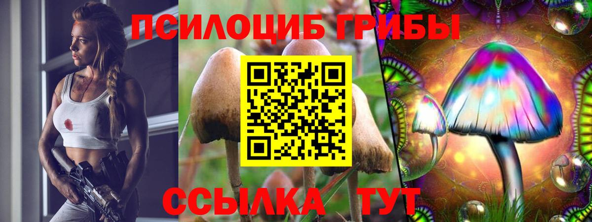 Галлюциногенные грибы MAGIC MUSHROOMS  где купить наркоту  Галлюциногенные грибы Psilocybine cubensis  Саянск  Вход с VPN 